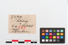 Etiketten zu Bronzespiralröhrchen (NHMW-PRAE-024749)
